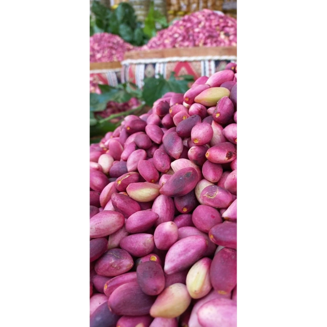 Taze Antep Fıstığı